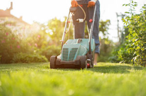 Lawn Care Services Burgess Hill UK