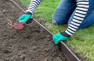 Lawn Edging East Malling (01732)