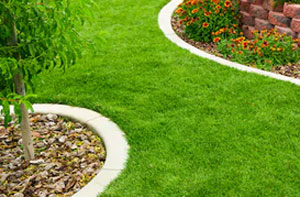 Lawn Edging Bishops Stortford (01279)