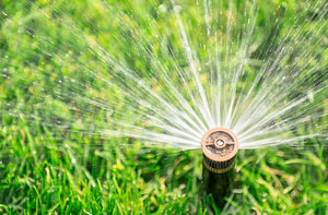 Lawn Irrigation Wishaw