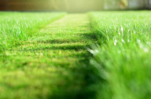Lawn Mowing Worthing UK