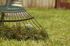 Lawn Scarifying Tayport (DD6)