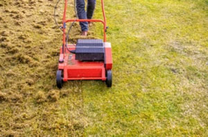 Lawn Scarifying Hayle (TR27)