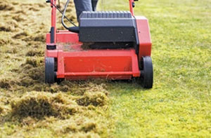 Lawn Scarifying Neath (SA10)