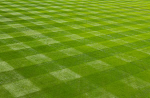 Lawn Treatment Bishop's Cleeve (01242)
