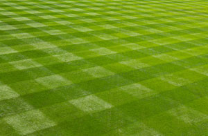 Lawn Treatment Bishops Stortford (01279)