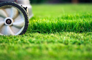 Lawn Mowing Portishead UK