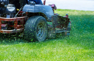 Grass Cutting Girvan Scotland (KA26)