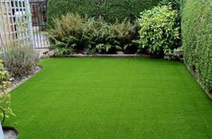 Grass Care Tips Lichfield