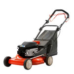 Halstead Lawn Care Specialists Near Me Halstead Lawn Care Specialists Near Me