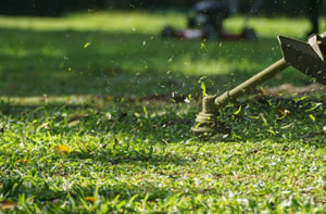 Lawn Care Services Rhyl UK