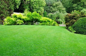 Lawn Mowing Earley Berkshire Lawn Mowing Earley