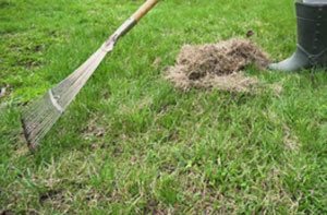 Lawn Dethatching Failsworth Lawn Dethatching Failsworth