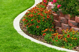 Lawn Edging Dalkeith (Dialling code	0131)