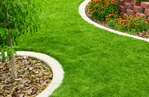 Lawn Edging Beaconsfield (01494)