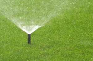 Lawn Irrigation Dunblane