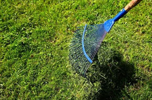 Lawn Scarifying Deal (CT14)