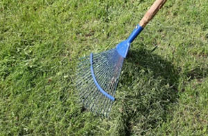 Lawn Scarifying Clevedon (BS21)