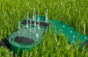 Lawn Spiking Axbridge Somerset Lawn Spiking Axbridge Somerset