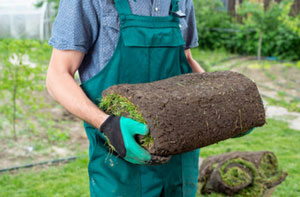 Lawn Turfing Woolston