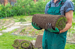 Lawn Turfing Hawkwell