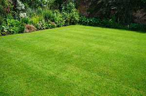 Lawn Mowing Calstock